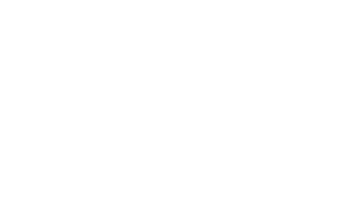 Megaguay